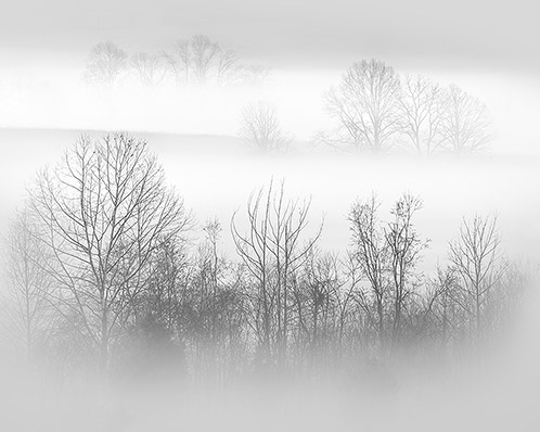 Morning Fog, Cades Cove, Great Smoky Mountains