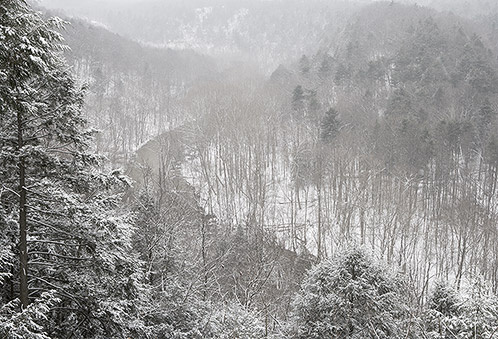 Clear Fork Gorge, Winter Storm, Mohican State Forest, Ohio