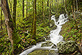 Woodland Waterfall, Great Smoky Mountains National Park, Tennessee