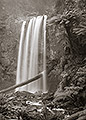 Hopetoun Falls, Great Otway National Park, Victoria, Australia