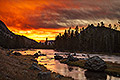Madison River, Sunrise, Yellowstone National Park
