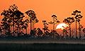 Pa-hay-okee Sunrise II, Everglades National Park