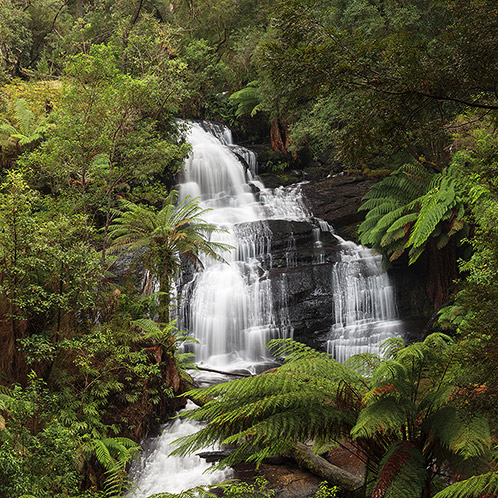 Triplet Falls, Great Otway National Park, Australia